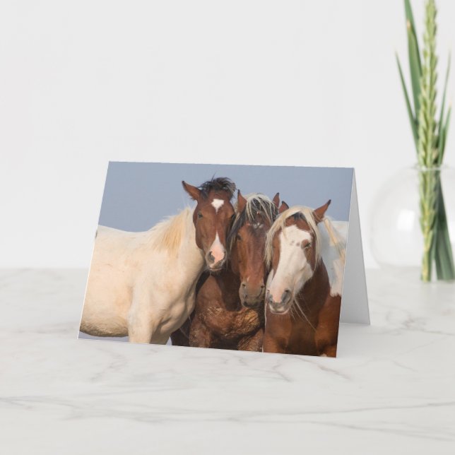 Tarjeta de nota "Somos familia" (Anverso)