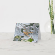 Tarjeta de nota Spider on Dusty Miller