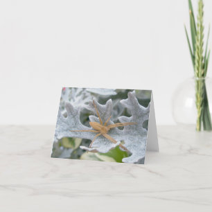 Tarjeta de nota Spider on Dusty Miller