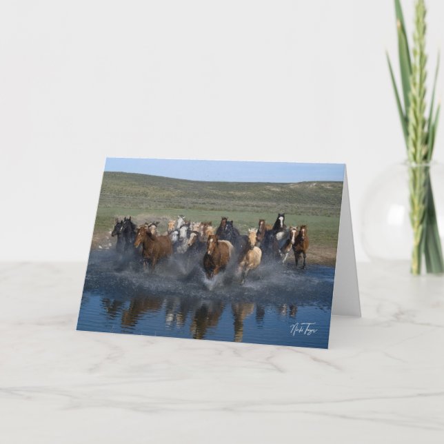 Tarjeta de nota Splash! (Anverso)