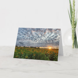 Tarjeta de nota Sunflower Sunset Blank