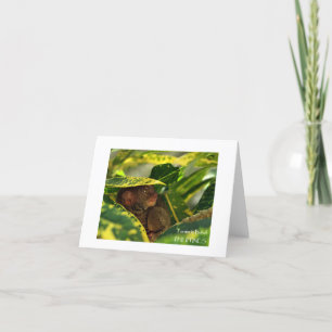Tarjeta de nota Tarsier in Bohol
