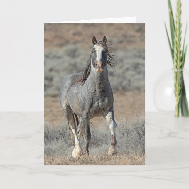 Tarjeta de nota "The Real Wild One" (Anverso)