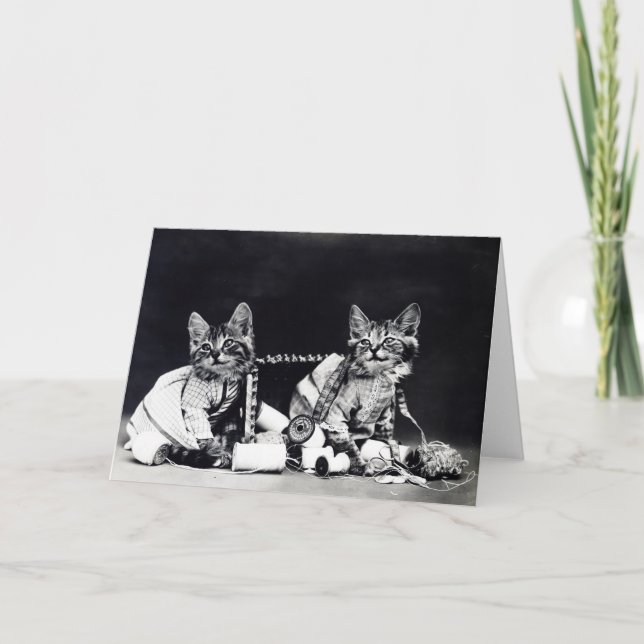 Tarjeta de nota traviesa de los gatitos (Anverso)