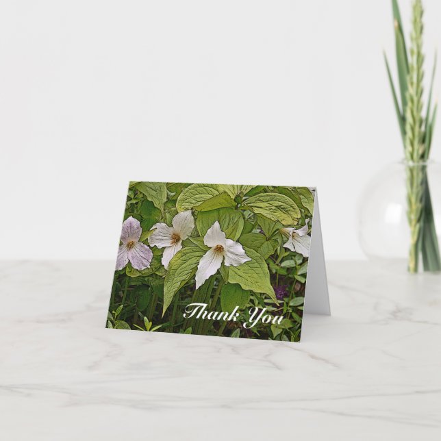 TARJETA DE NOTA/TRILLIUM/FOTOG./DIG.MANIP/PAINTERL (Anverso)