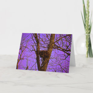 Tarjeta de nota vacía de la jerarquía