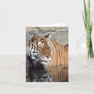 Tarjeta de nota vertical Bengal Tiger Blank