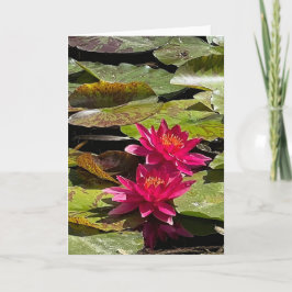 Tarjeta de nota Water Lilies Blank