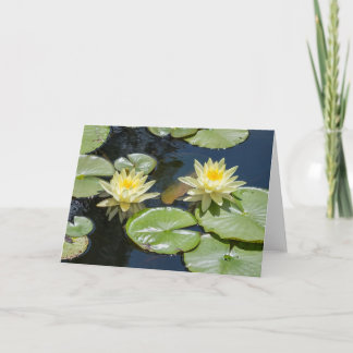 Tarjeta de nota Waterlily Blank