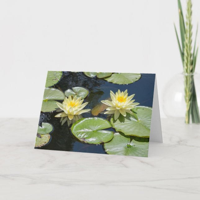 Tarjeta de nota Waterlily Blank (Anverso)