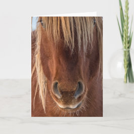 Tarjeta de nota "Whiskers"