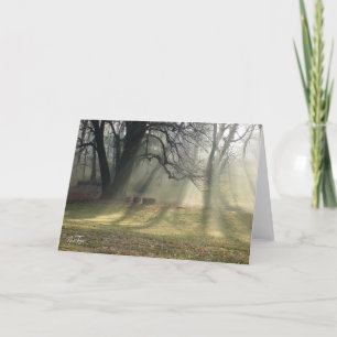 Tarjeta de nota Woodland Halo