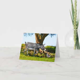 Tarjeta de nota "Young Eno & Henri"