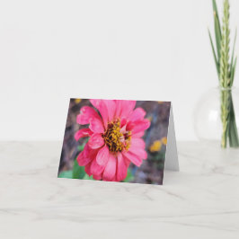 Tarjeta de nota Zinnia - Fotografía original