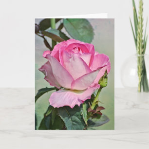 Tarjeta de notas de arte de guijarros de color ros