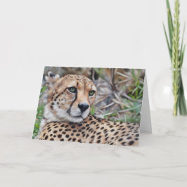 Tarjeta de notas de arte para animales salvajes de