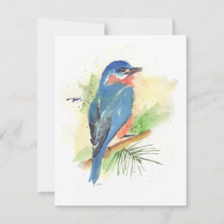 Tarjeta de notas de Bluebird para todas las ocasio