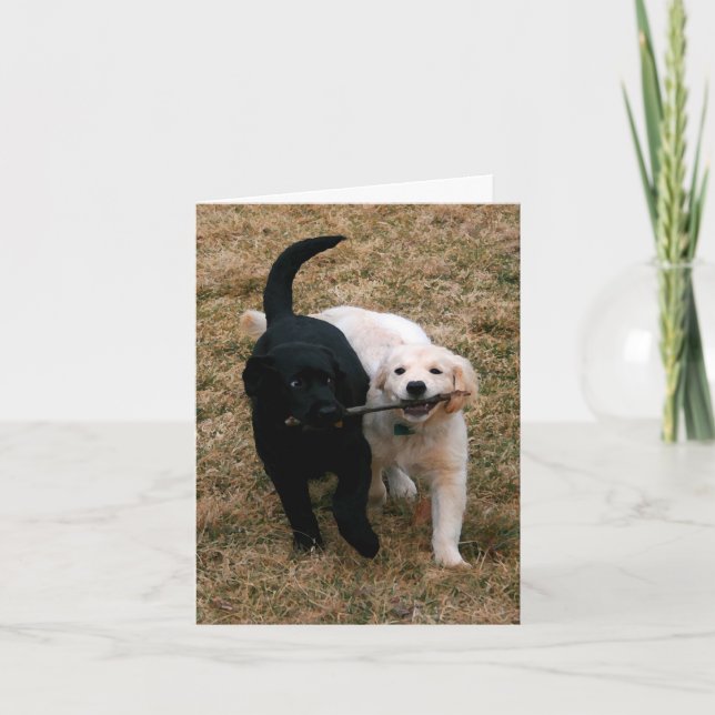 Tarjeta de notas de cachorros en blanco y negro (Anverso)