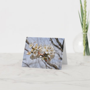 tarjeta de notas de flores en flor