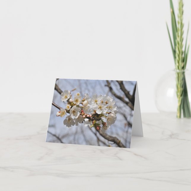 tarjeta de notas de flores en flor (Anverso)