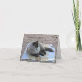 tarjeta de notas de gato para recuerdos