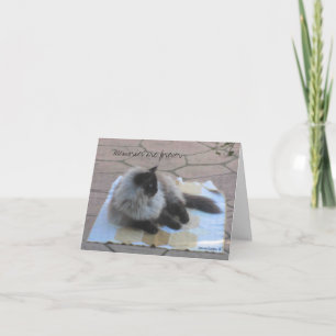 tarjeta de notas de gato para recuerdos