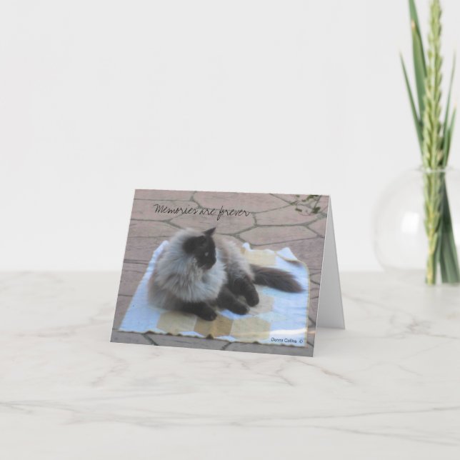 tarjeta de notas de gato para recuerdos (Anverso)