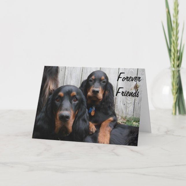 Tarjeta de notas de Gordon Setters Forever Friends (Anverso)