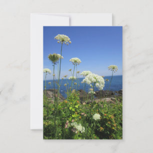 Tarjeta de notas de Ocean Lace