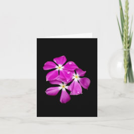 Tarjeta de notas en blanco 'Flores de vincapervinc