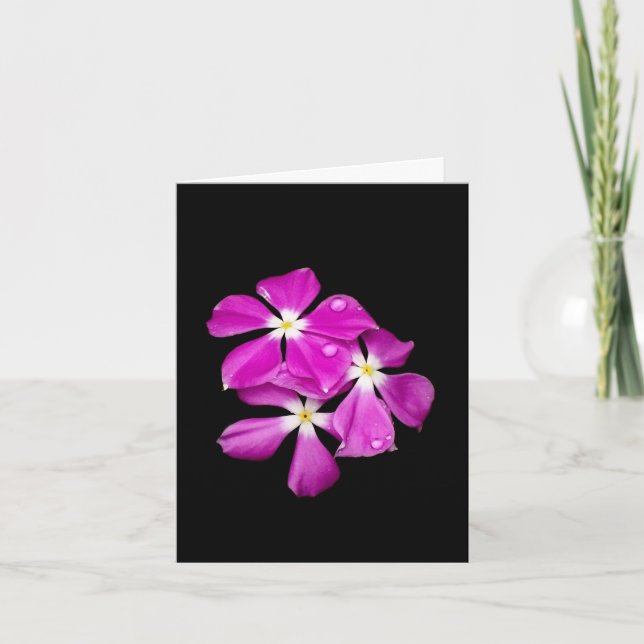 Tarjeta de notas en blanco 'Flores de vincapervinc (Anverso)