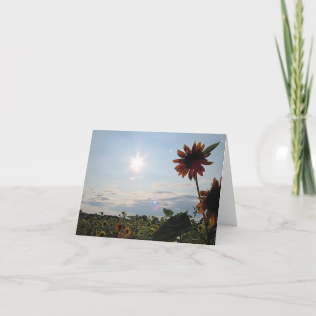 Tarjeta de notas Sunshine & Sunflower (Anverso)