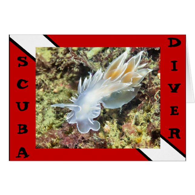 Tarjeta de Nudibranch Divier Scuba (Anverso (Horizontal))