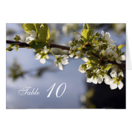 Tarjeta de número de mesa con flores de cerezo bla