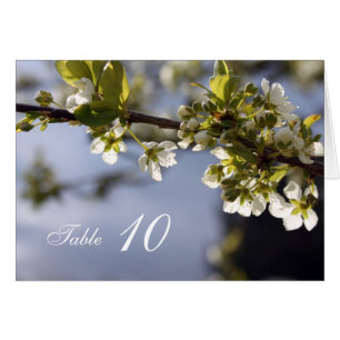 Tarjeta de número de mesa con flores de cerezo bla