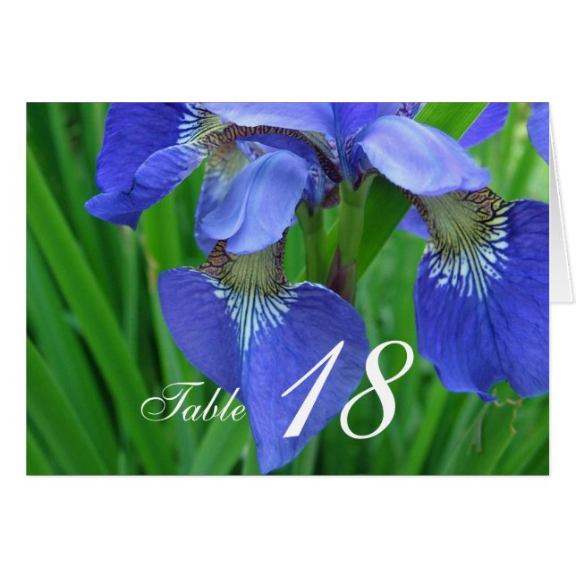 Tarjeta de número de mesa de cena de flor de iris  (Anverso (Horizontal))