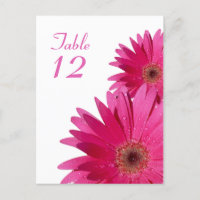Tarjeta de número de tabla de color rosa Gerbera D