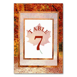 Tarjeta de número de tabla de hojas de otoño del B