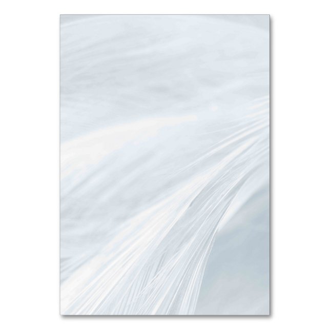 Tarjeta de número de tabla estadounidense de color (Anverso)