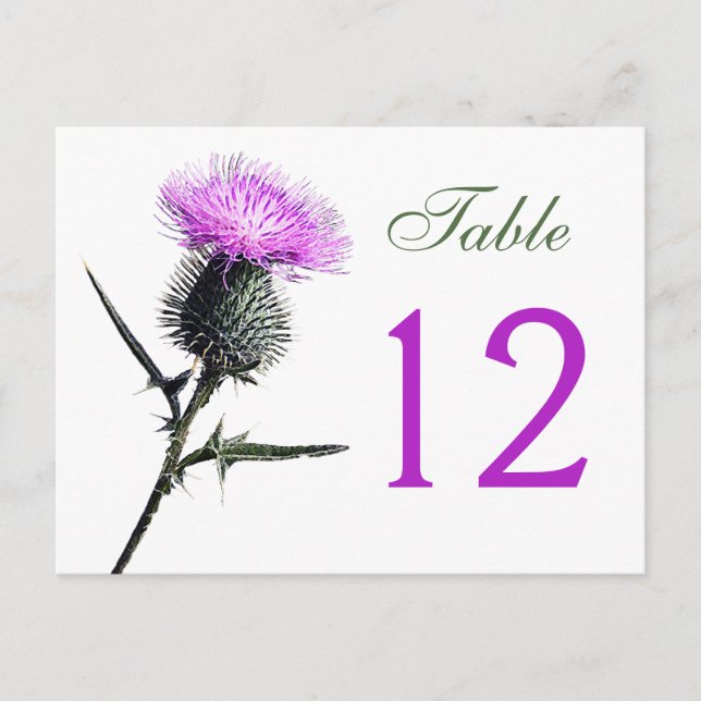 Tarjeta de número de tabla morada, verde, blanca (Anverso)