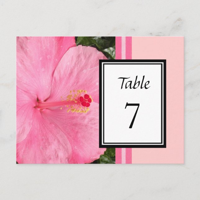Tarjeta de número de tabla rosa de Hibiscus (Anverso)