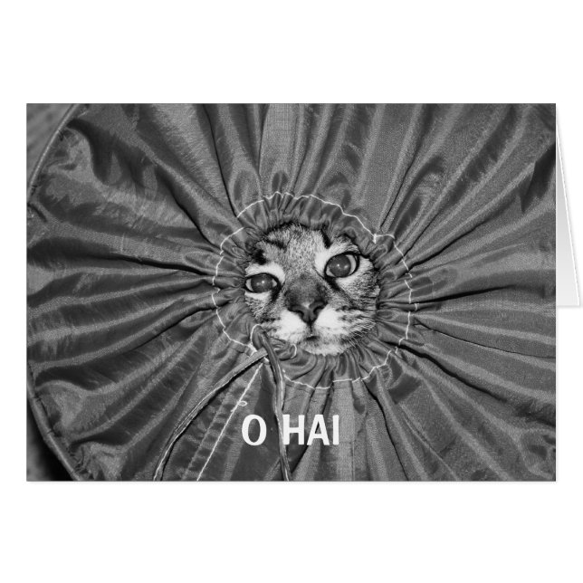 Tarjeta de O Hai LOLcat (Anverso (Horizontal))
