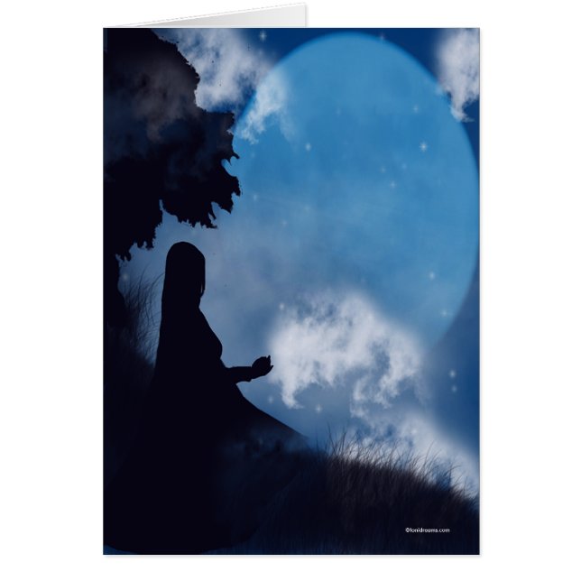 Tarjeta de observación del cielo nocturno (Frente)
