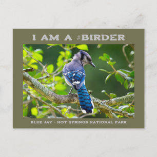 Tarjeta de observador de aves de arrendajo azul tí