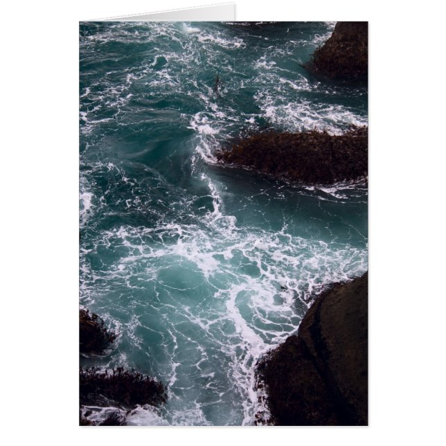 Tarjeta de Océano de Auriculación (Frente)