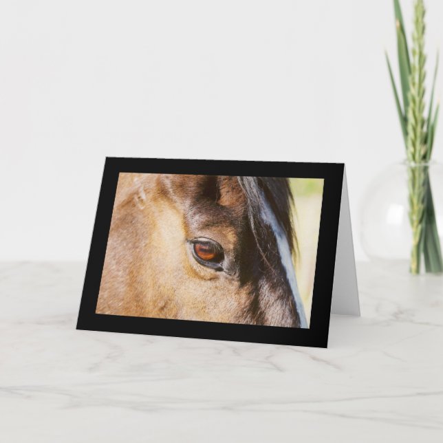 Tarjeta de ojos para caballos (Anverso)