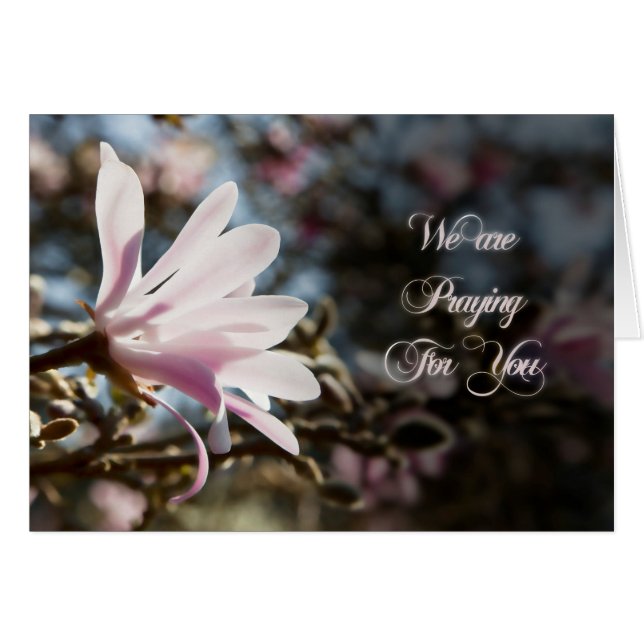 Tarjeta de oración con magnolia (Anverso (Horizontal))