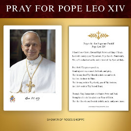 Tarjeta de oración para el Papa León XIV, Vicario