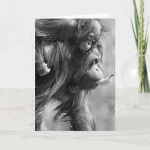 Tarjeta de Orangutan#8-Greeting