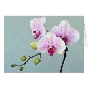 Tarjeta de Orji de la orquídea